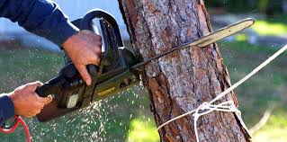 Mulching Services in Rocky Ford, CO
